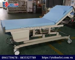 Giường điện tập phục hồi chức năng cao cấp