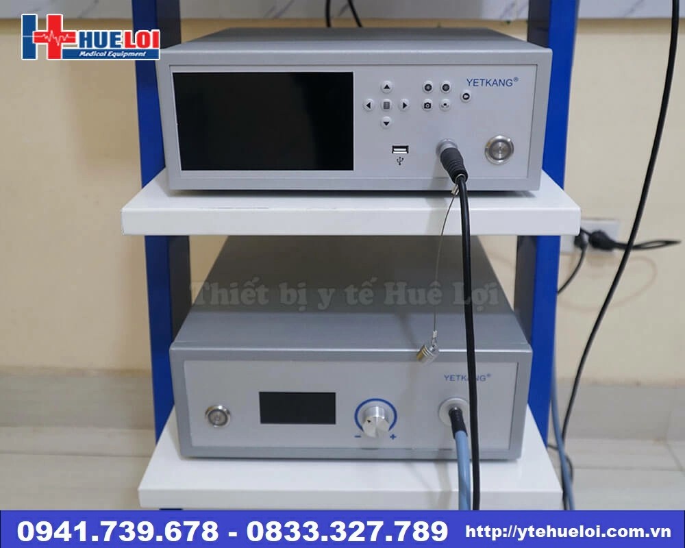 II. Hình ảnh thực tế:
