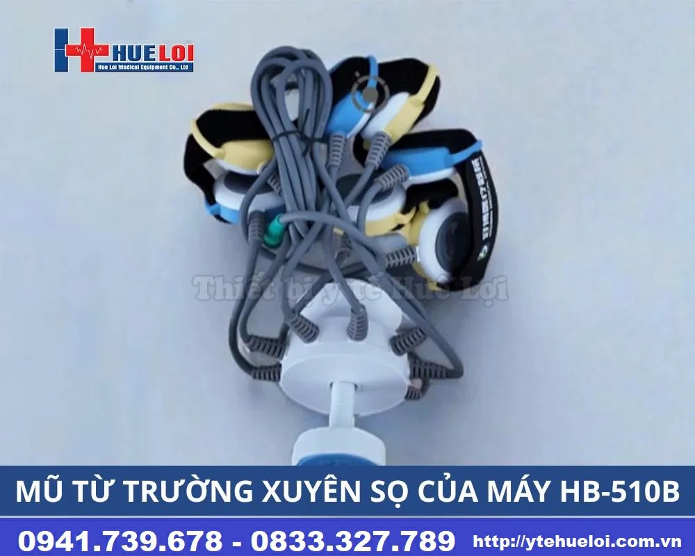 từ trường xuyên sọ