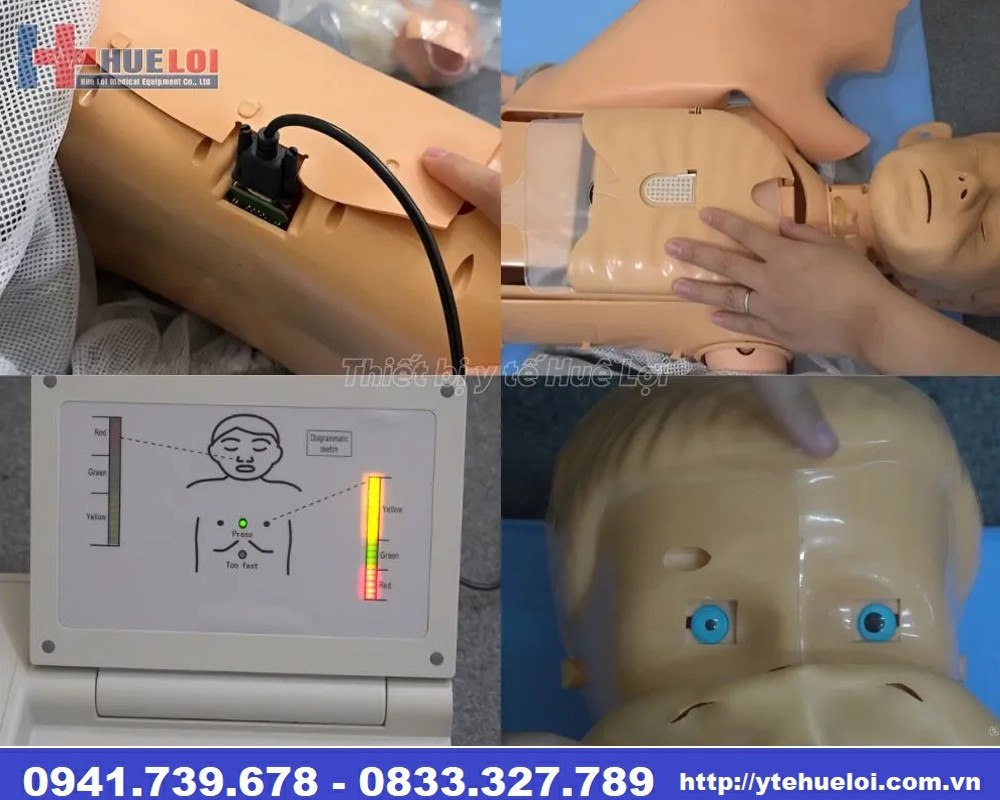 mô hình ép tim trẻ em cao cấp