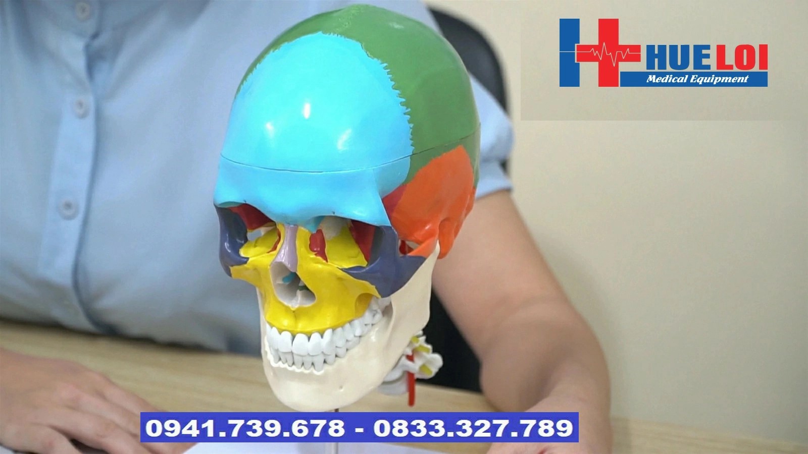 mô hình giải phẫu xương đầu mặt cổ