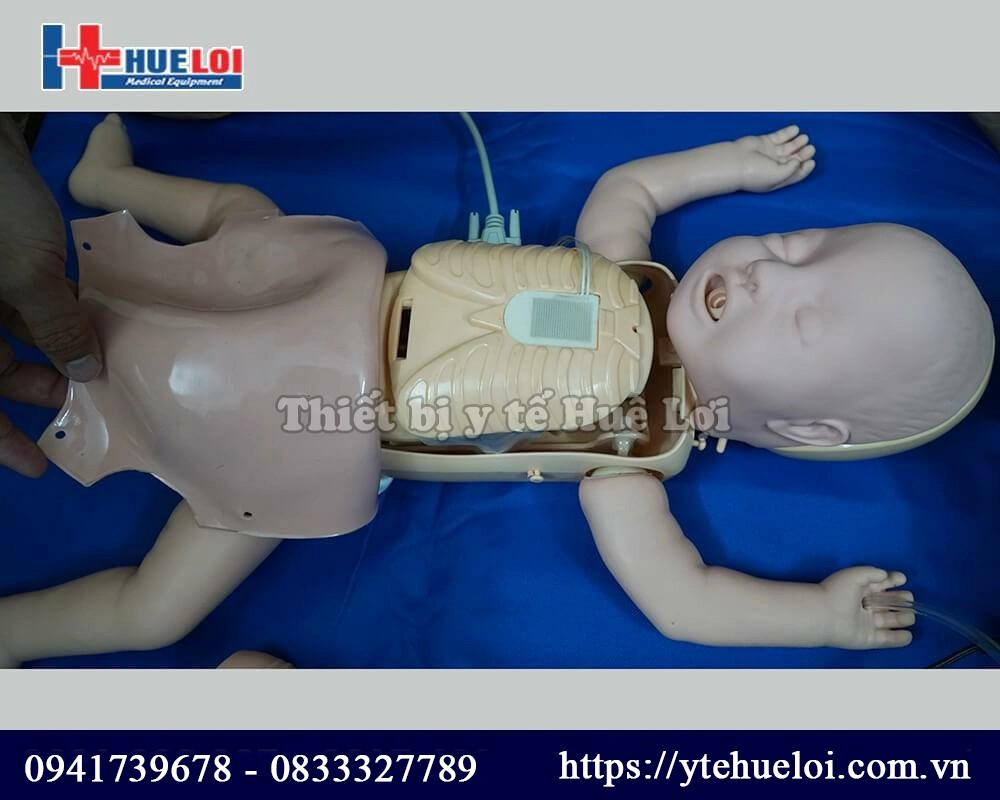 mô hình ép tim trẻ sơ sinh