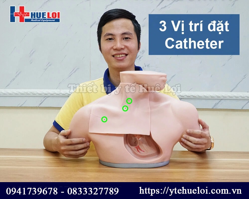 mô hình hướng dẫn đặt catheter tĩnh mạch trung tâm